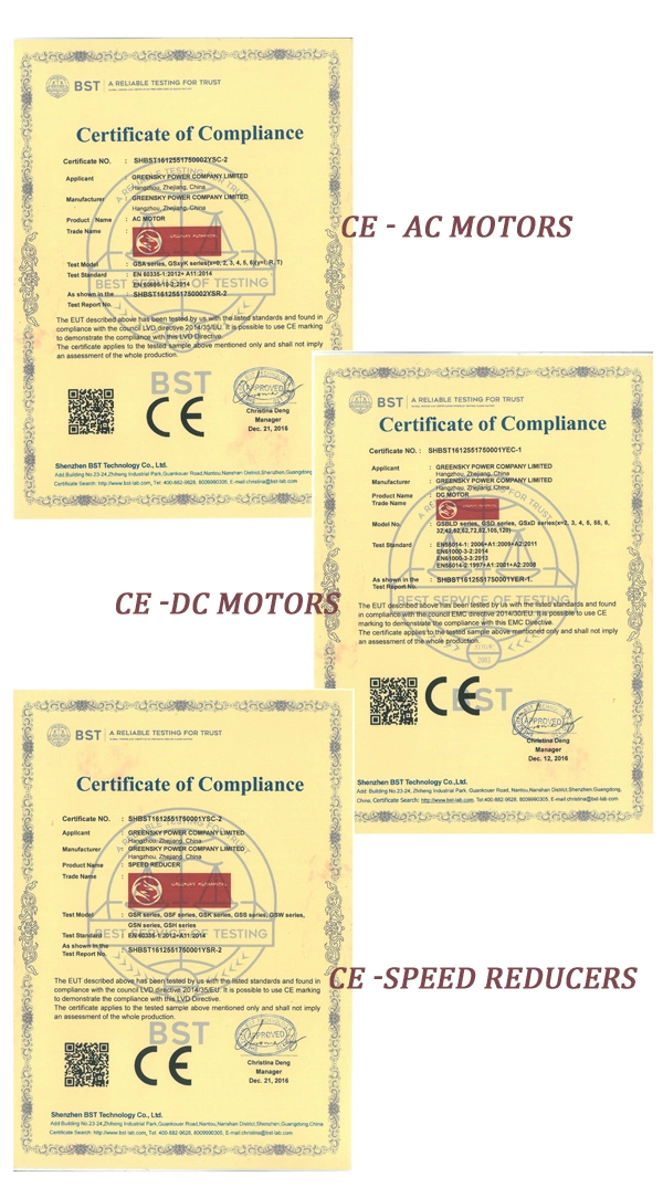 Ye3 Series Premium Efficiency 3-Phase Asynchronous Induction Motor