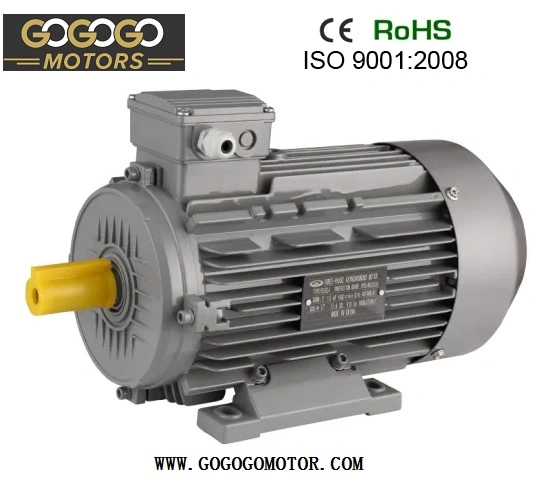 IEC Ie3 Ie2 Ye3 Series 220V 230V 240V 380V 400V 415V 440V 575V 660V Electric Motor for Pump Fans Universal Machines High Efficiency Motor