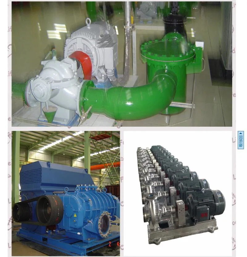 Ykk Series High Voltage Three Phase Induction Motors of Frame Sizes 400 Rated Output Electric Motor 250kw 10000V IC611