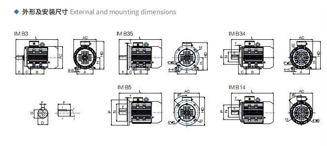 Aluminum Housing Ms Series Variable Frequency Electric Motors